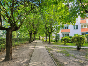 Mieszkanie Sprzedaż Lublin Bronowice Sokola 5